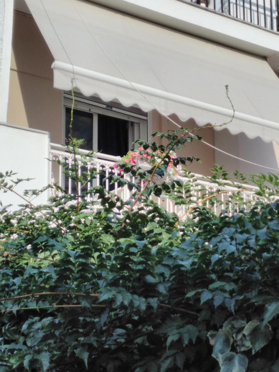 Stratis Summertime Apartment タソス エクステリア 写真